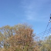 朝だよー