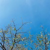 楽しむ人は無敵〜神無月のお稽古