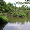 初谷幸一の公園紹介～旧安田庭園～