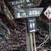 對馬國「金田城跡」登山道の手入れ