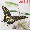 学研指扇たんぽぽ教室のおすすめの本