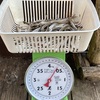 1/4（土）三河湖ボートワカサギ釣り本格開幕か？今期最高５９匹350g出た