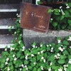 ６月のK fleurs