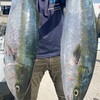秋の伊勢湾ジギング、ベイトモリモリ！釣果急上昇中!!