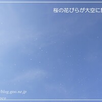 読了 ごんおばちゃま著書 あした死んでもいい片づけ を読みました 親世代の方からのアドバイスが聞けます 本のある暮らし 読了 ごんおばちゃま著書 あした死んでもいい片づけ を読みました 親世代の方からのアドバイスが聞けます 本のある暮らし