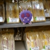 ポケモンGOにっき(隣にいるポケモン)