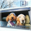 風太の夢☆ diary