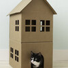 CAT HOUSE