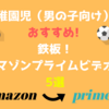 【幼稚園児（男の子向け）におすすめ! 】　鉄板！　アマゾンプライムビデオ作品　5選