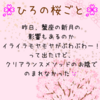 ひろの桜ごと🌸19花びら目
