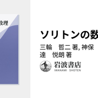 三輪・神保・伊達『ソリトンの数理』文脈解説ノート - 古い土地