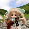 山の上は晴れておりましても雨が降るのです。
