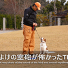 公園で鳥獣除けの空砲がなって帰ると言い出すテラでした(^^;)