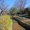 せせらぎ菖蒲園・植物園（山崎公園）埼玉県富士見市