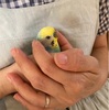 お久しぶりです