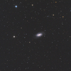 しし座の銀河 NGC2903