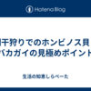 潮干狩りでのホンビノス貝とバカガイの見極めポイント