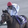 【有馬記念2024】衝撃！ドウデュース右前肢ハ行で出走取り消しで引退