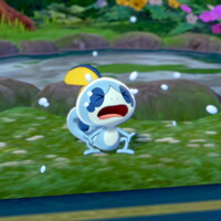 ポケモン剣盾 のエラー関連の情報と ひとまずの対処法について まったり庭