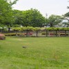 天久保公園の藤～つくば市とその周辺の風景写真案内（７５９）