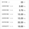 鍛え直し 366日目