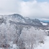 147.志賀高原 横手山・渋峠スキー場