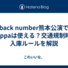 back number熊本公演でakippaは使える？交通規制時の入庫ルールを解説