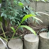 久しぶりの時間の共有