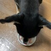 まろにー2771日目