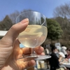 第50回 筑波山梅まつり！「乾杯つくば つくばワインフェス」に行ってきました♪【筑波山梅林・茨城】