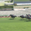 カネラフィーナ　洞爺湖特別優勝