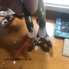 ミノーリップの材質を考える