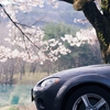 桜ドライブ 2024