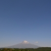 ５月１３日から１８日の富士山・花蜜柑