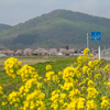 ◆'25/04/19　高館山～八森山①