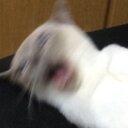 こくらblog