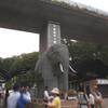 東京都多摩動物公園へ