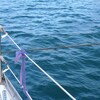 現在、呼子、強風中。夕方強風注意報解除、無事呼子で台風をしのぐ