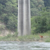 荒川上流川下り②～川から見た景色は