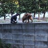 暑いですねぇ。