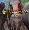 【読み聞かせ】地雷をふんだ像