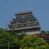 GWの日帰り強行旅行・・・熱海城とシャボテン公園　ヒドラ