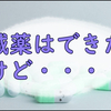 【ネフローゼ症候群】プレドニンは減薬できたけど不安要素が…