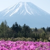 富士芝桜まつりは開園時間前に行くのがオススメ