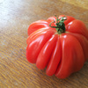 赤みが美味しさの秘密!? ドイツのトマト。