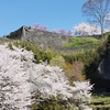 城と桜１（岡城）