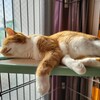 悲報と朗報、どっちから聞きたい？Part.2