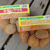 種芋購入