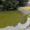 菅ヶ谷の池（静岡県島田）