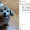 やっぱり楽しそうだな